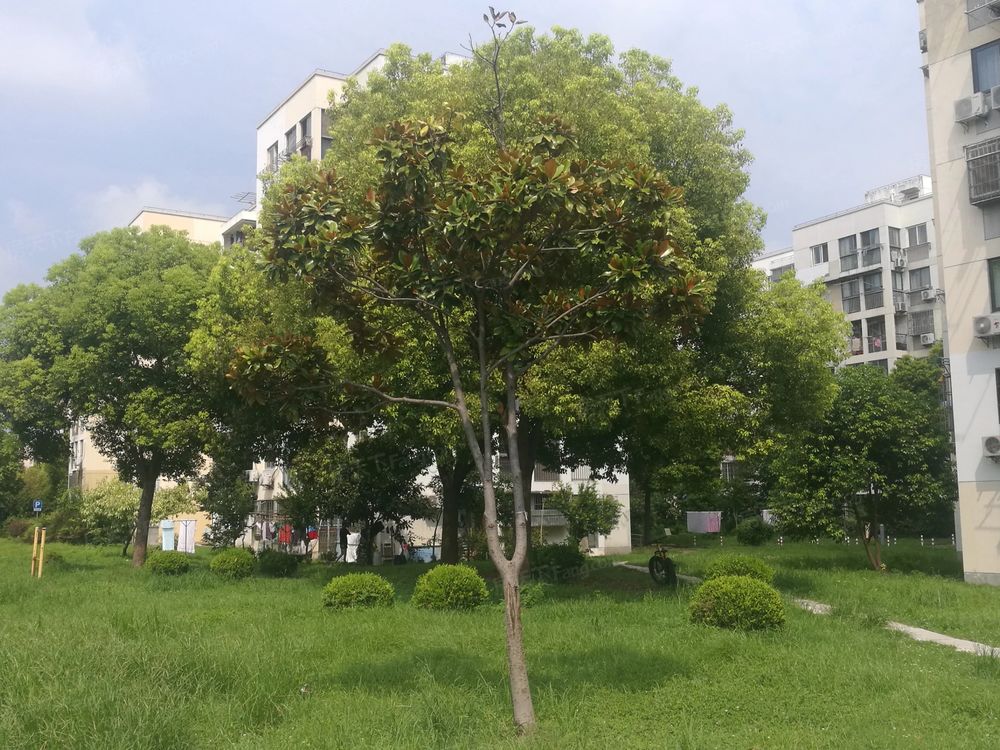 小区相关图