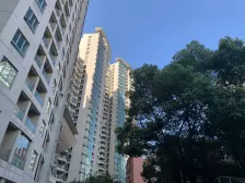 满五年高区南北通大四房,西边套全明,俯瞰张园全景