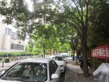 世纪村东区3A户型,正规三居室,享受田园生活。