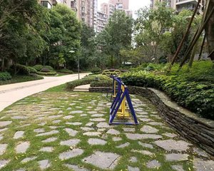 麓山国际云曦台2室2厅西南