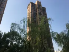 小区中 位置 采光刺眼 50万 装修