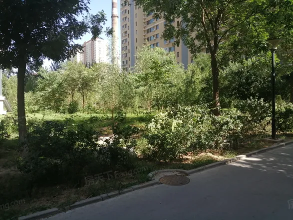 【石家庄红星国际小区,二手房,租房】- 石家庄房天下
