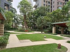 麓山国际云曦台3室2厅西南东北