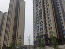 金科天宸A区4室1厅南北