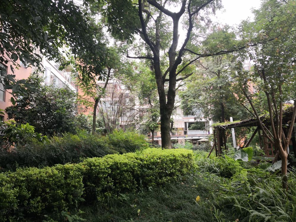 小区相关图