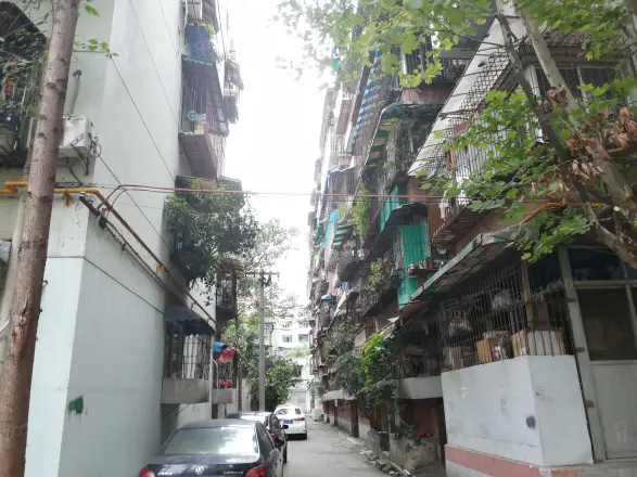 双楠乐苑实景图
