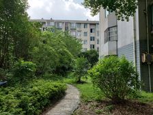 张江南康桥东站南北通三房