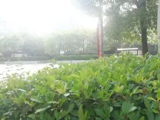 松陵·山湖嘉晖苑·3室·2厅