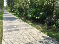 联排中户别墅,独立私家花园,位于内圈,安静