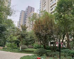 麓山国际云曦台2室2厅东南