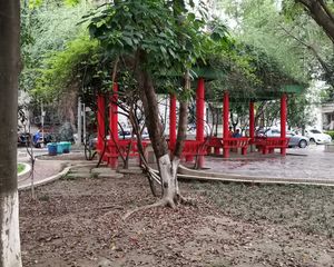 科院街6号2室1厅南