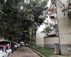 棕南正街9号3室1厅南