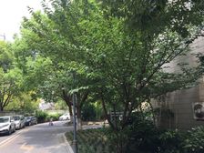 电梯商品房品质小区绿化率高新上房源