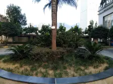 雅典汇 1室1厅 东南