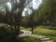 照母山 协信春山台五房258万