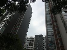 白鸽岛尚3室1厅东南