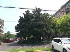 税费少,楼层好,视野宽阔,采光充足,配套设施齐全