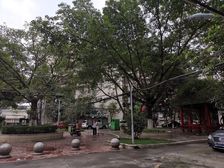 科院街6号3室1厅东南