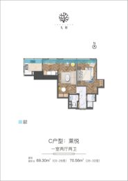 九树1室2厅1厨2卫建面69.30㎡