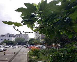 富民路二段28号 3室1厅 东南