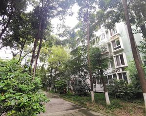 川大与文里3室1厅东南