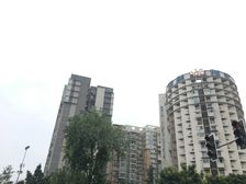 西线阳光3室2厅南