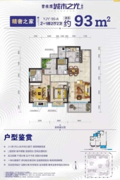 碧桂园·城市之光2室2厅1厨2卫建面93.0㎡