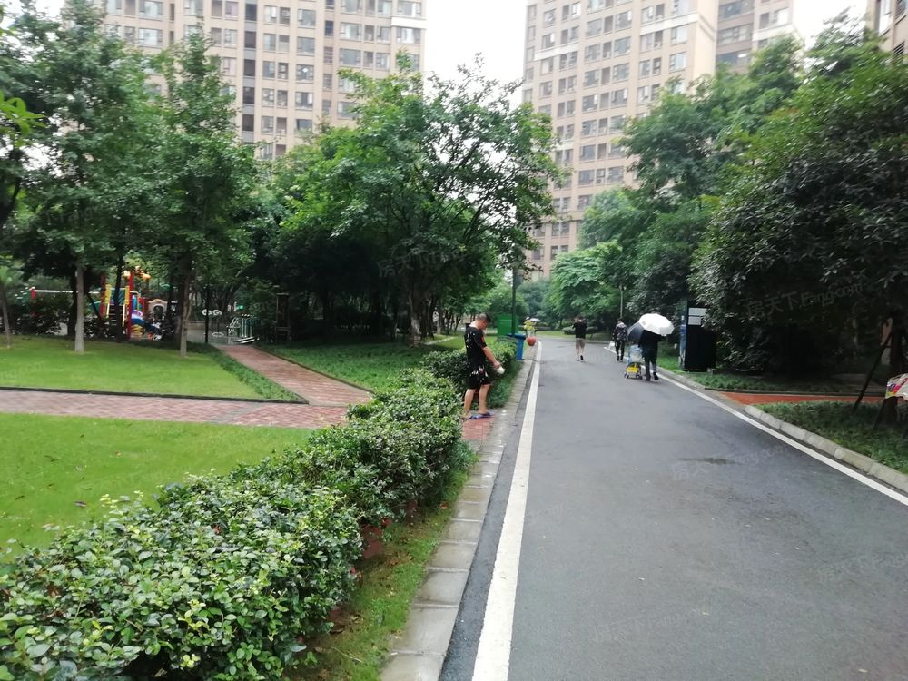 小区相关图