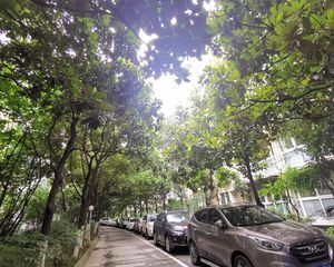 川大与文里3室2厅西南