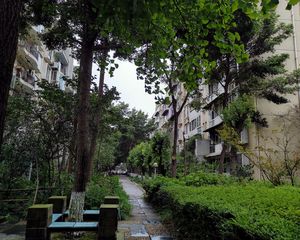 川大与文里3室3厅东北