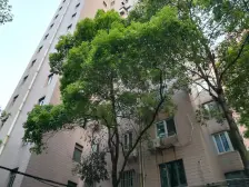 徐家汇·金轩公寓·2室·1厅