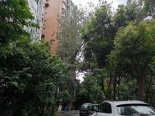 川大与文里3室1厅东北西北