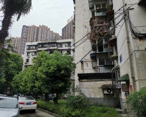 棕南正街9号 3室1厅 东