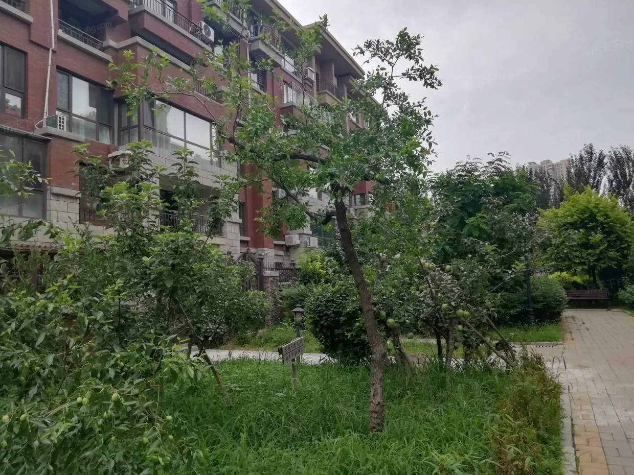 【沈阳江户雅致小区,二手房,租房】- 沈阳房天下