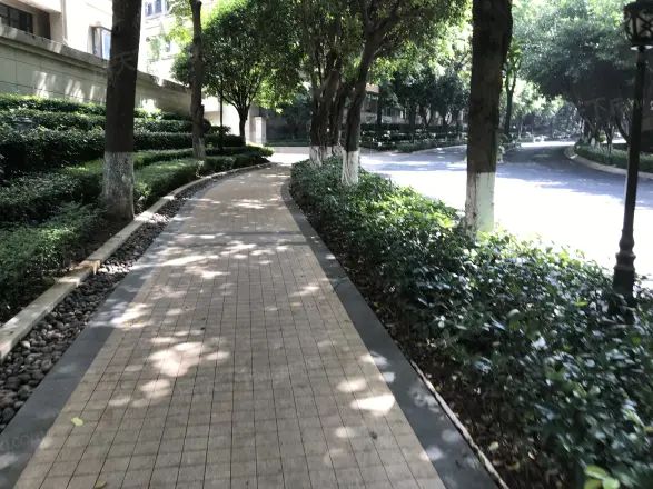 中渝山顶道8号实景图