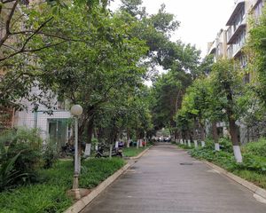 川大与文里2室1厅南