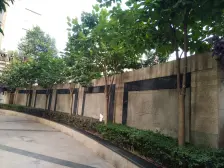 正规一室一厅,装修,交通方便生活配套齐全