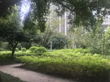 鲁能星城,精装两房 业主诚心出售