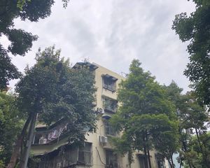 凯蒂阳光1室1厅东北