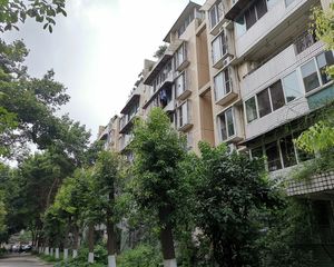 川大与文里3室1厅南