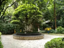 单价7千多买南滨路上的顶跃+私家花园露台 带车位