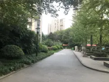 辅仁路正规电梯两房 要大客厅的看过来