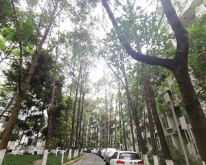 川大与文里3室2厅东南