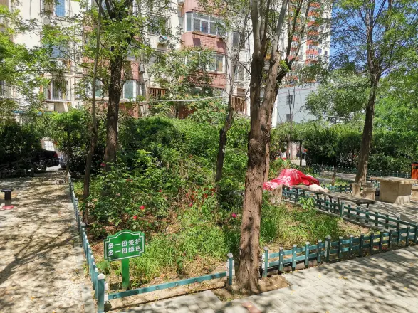 海户西里34号院实景图