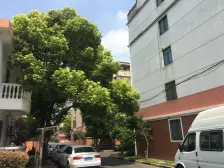 产权清晰,采光好,通风好,必看好房