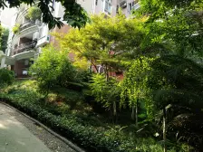 阳光华庭 5室1厅 南