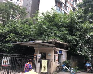 白鸽岛尚 2室1厅 东北