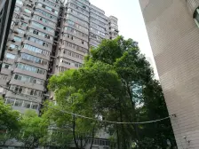 一楼,双南双阳台通透+小区后排位置安静,采光无遮挡