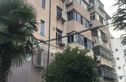 界泾港新村实景图