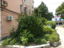 总价低 配套齐全 古钟园旁边 刚需家庭